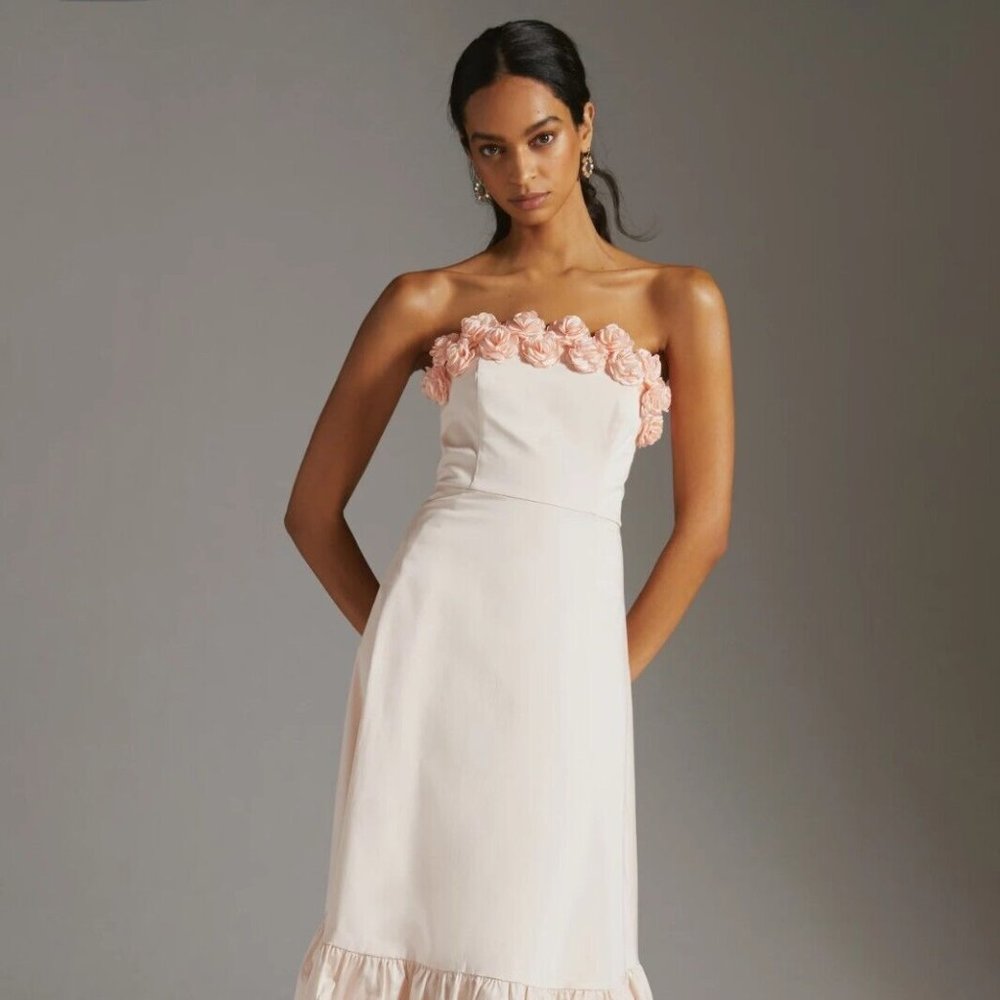 Anthropologie Floral Trim Maxi Dress By Hutch sz 10